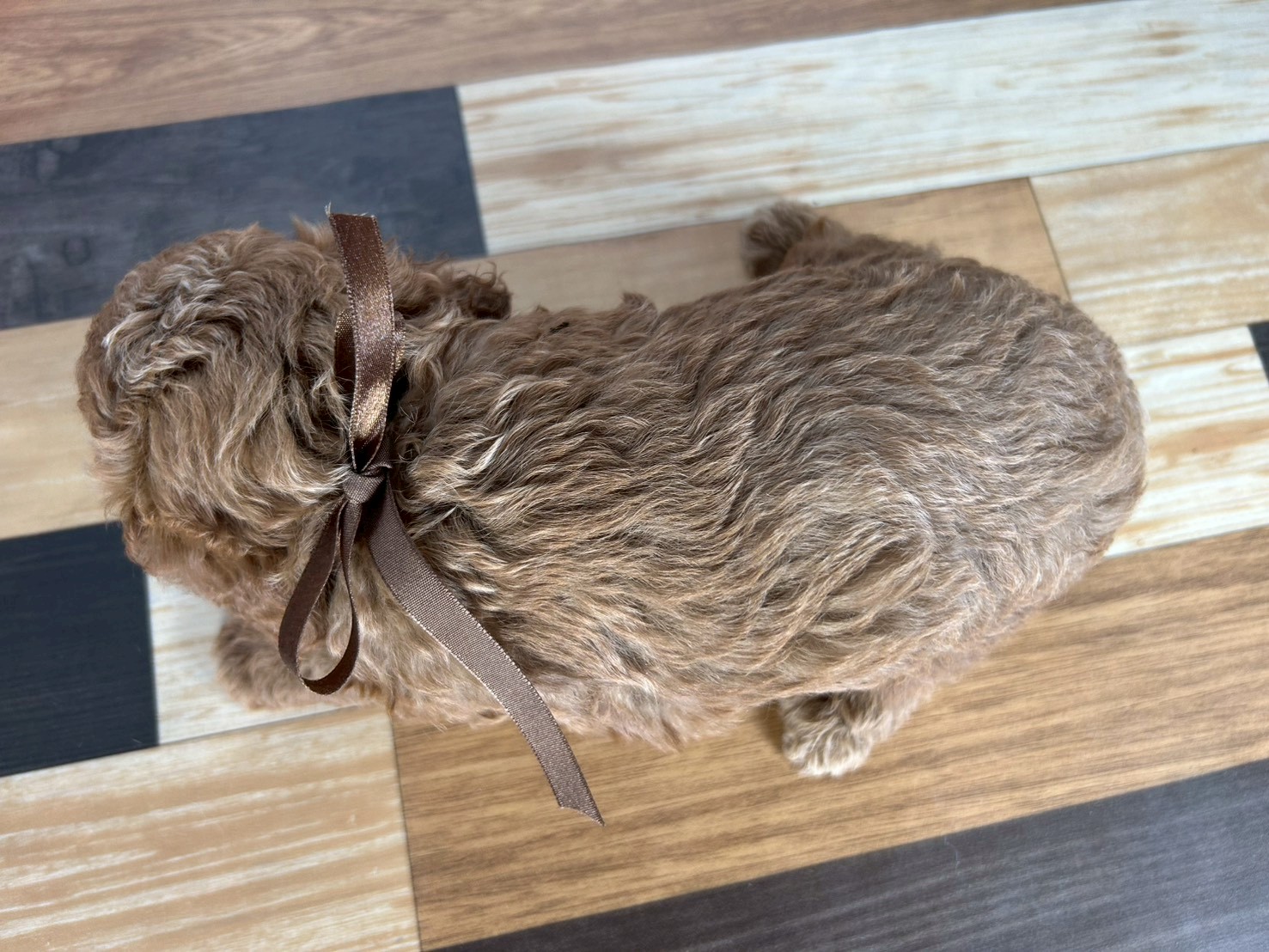 赤ちゃん写真3-3