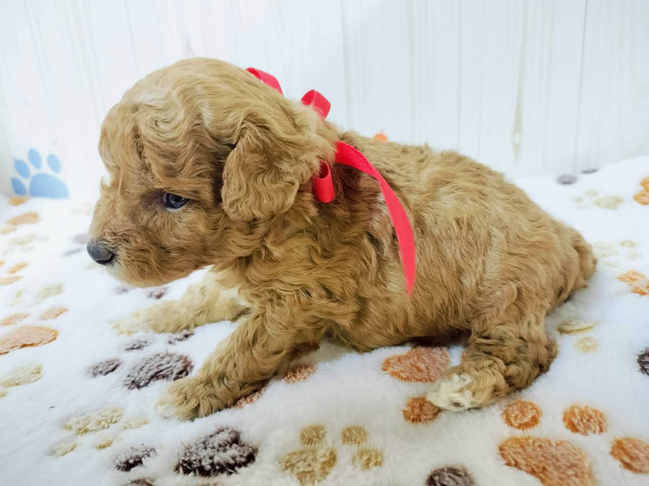 赤ちゃん写真2-2