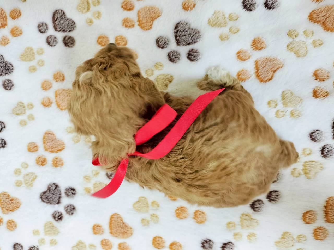 赤ちゃん写真2-3