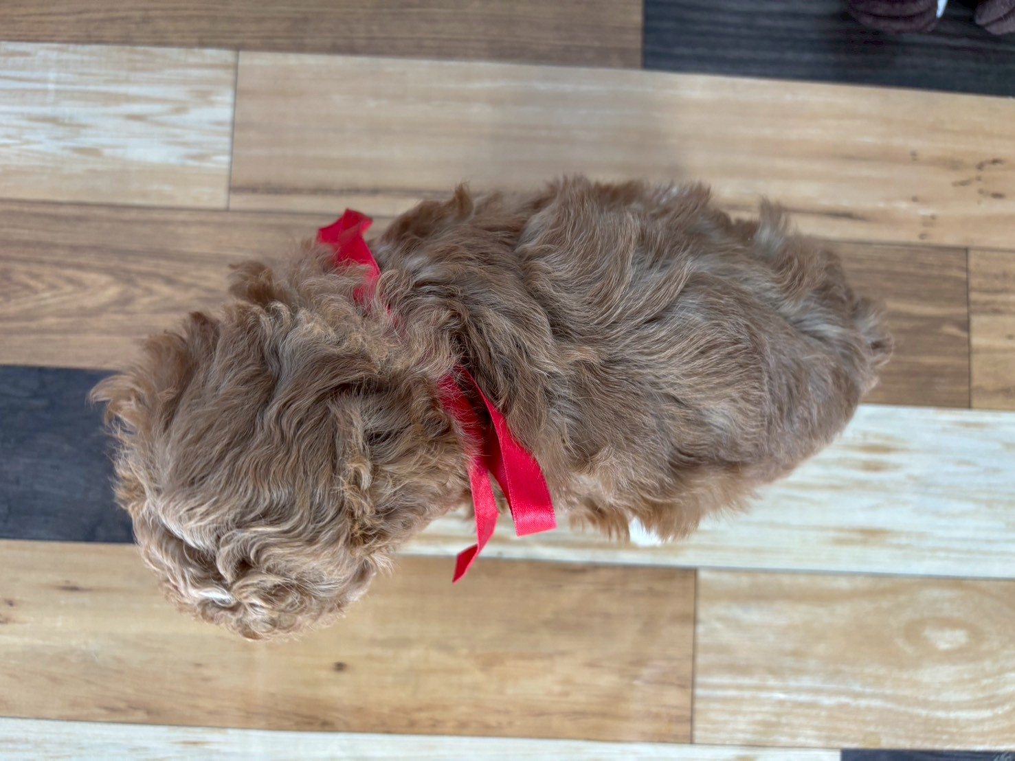 赤ちゃん写真3-3