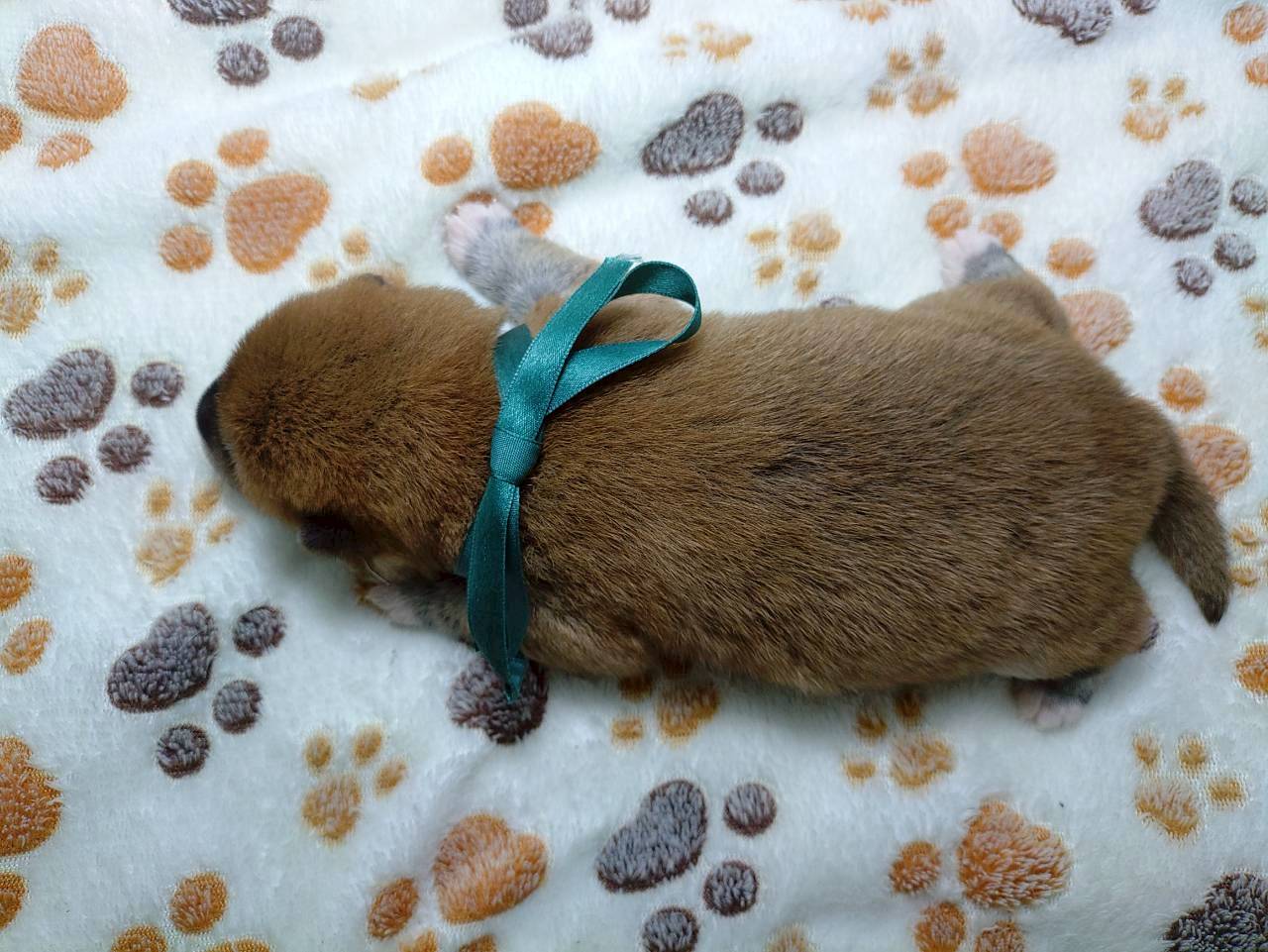 赤ちゃん写真1-3