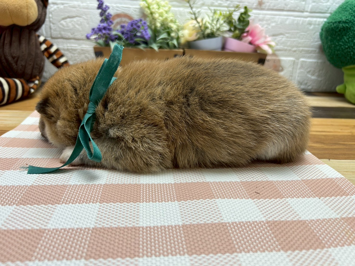 赤ちゃん写真2-2