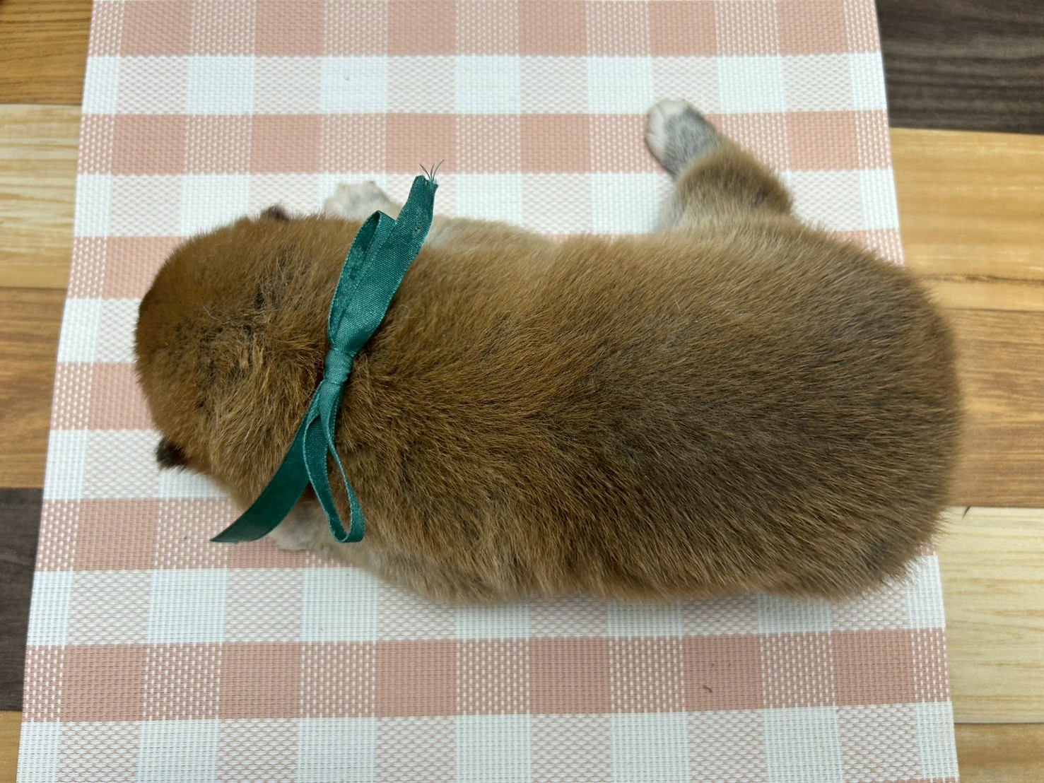 赤ちゃん写真2-3