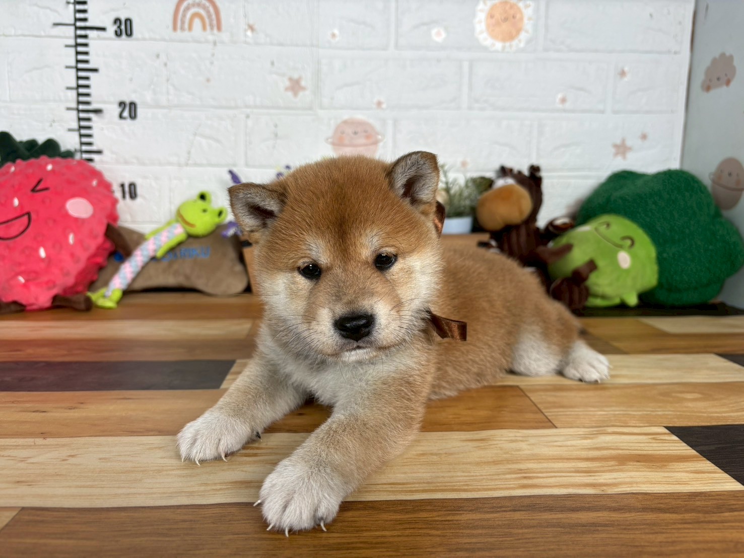 赤ちゃん写真3-1