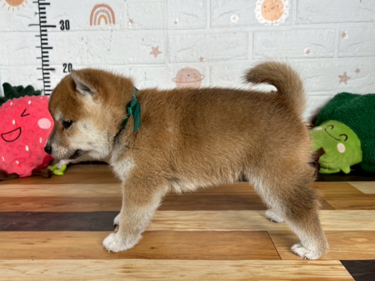 赤ちゃん写真3-2
