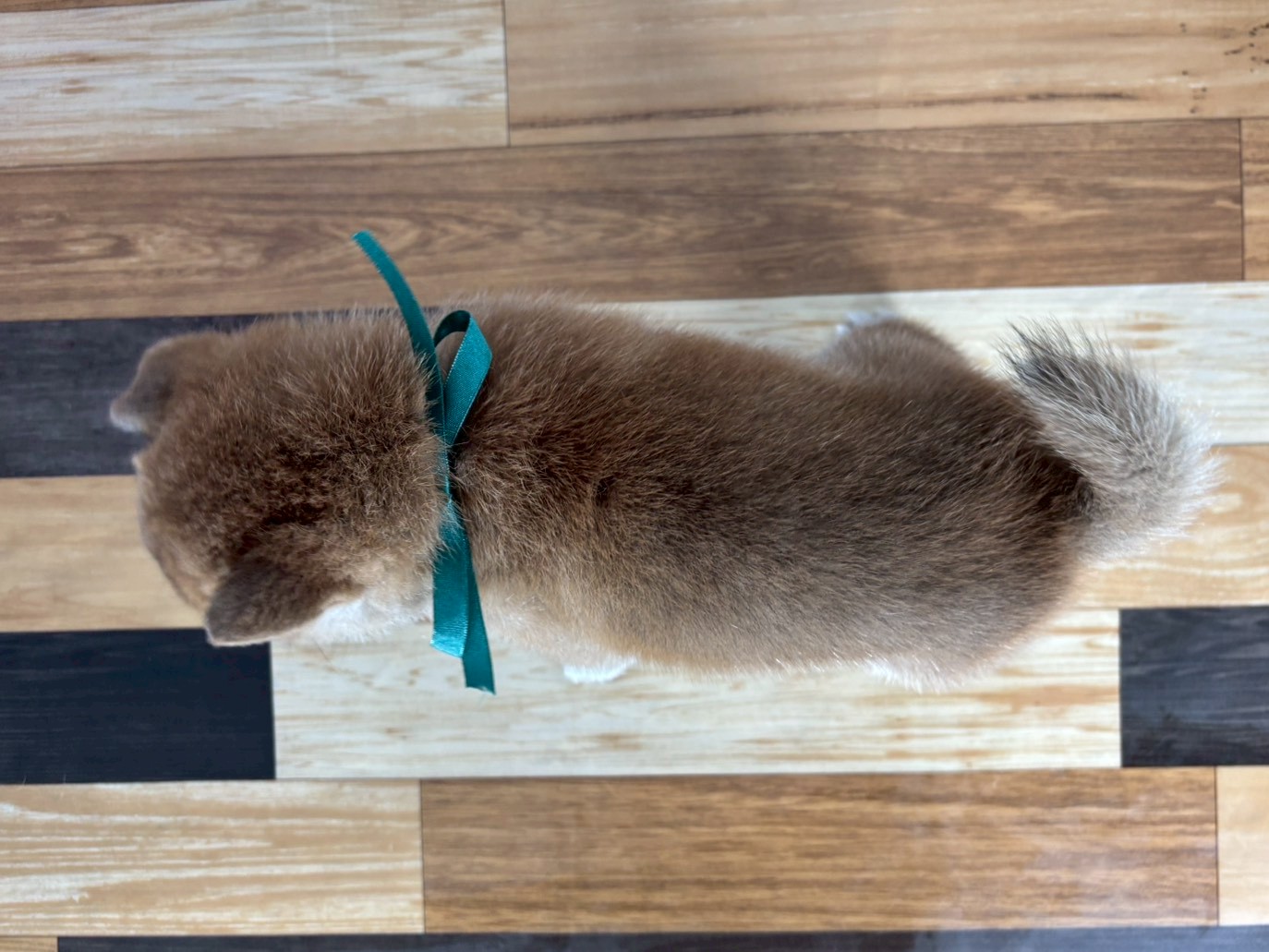 赤ちゃん写真3-3