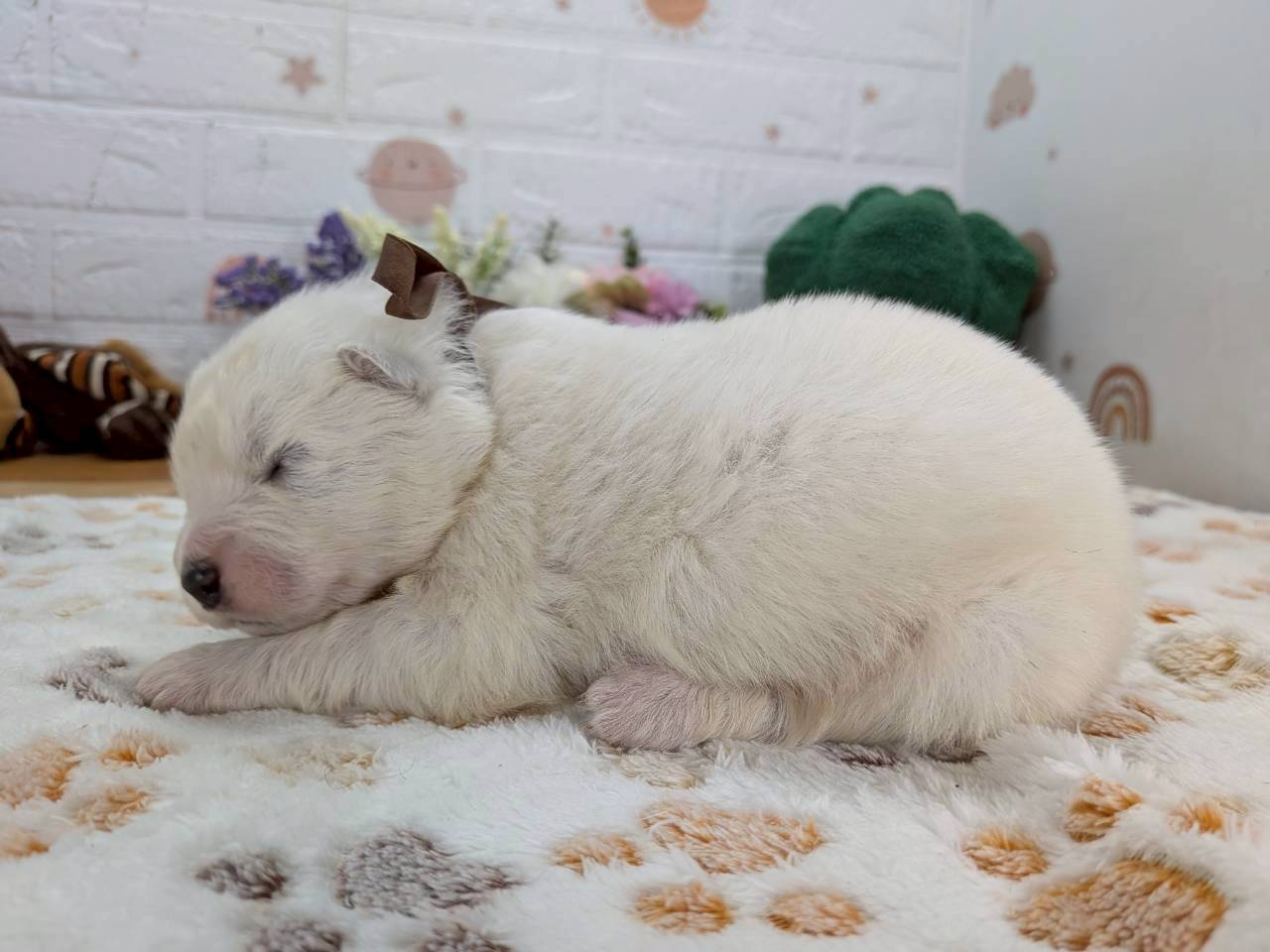 赤ちゃん写真1-2