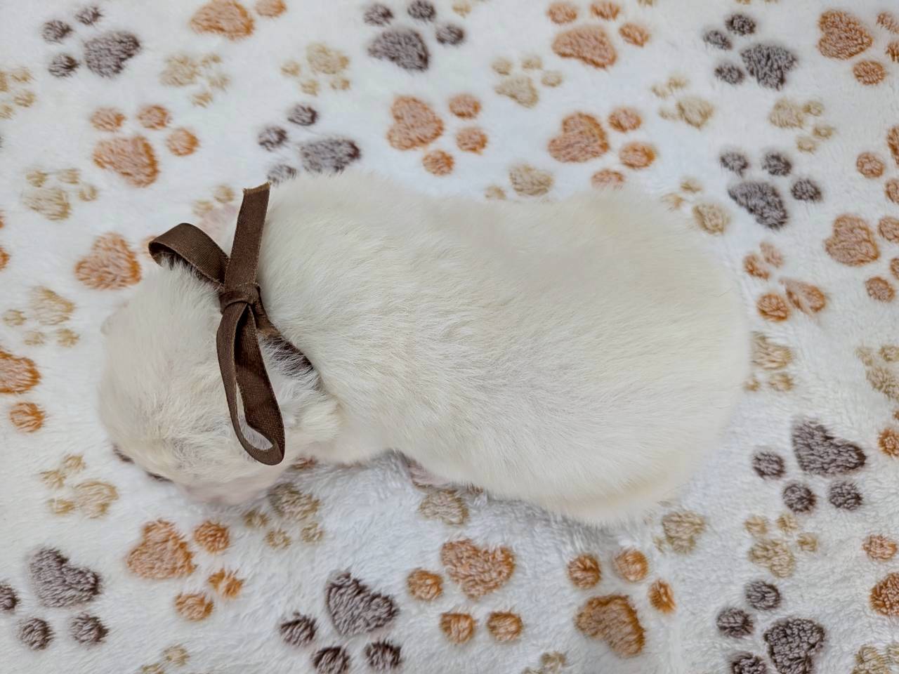 赤ちゃん写真1-3