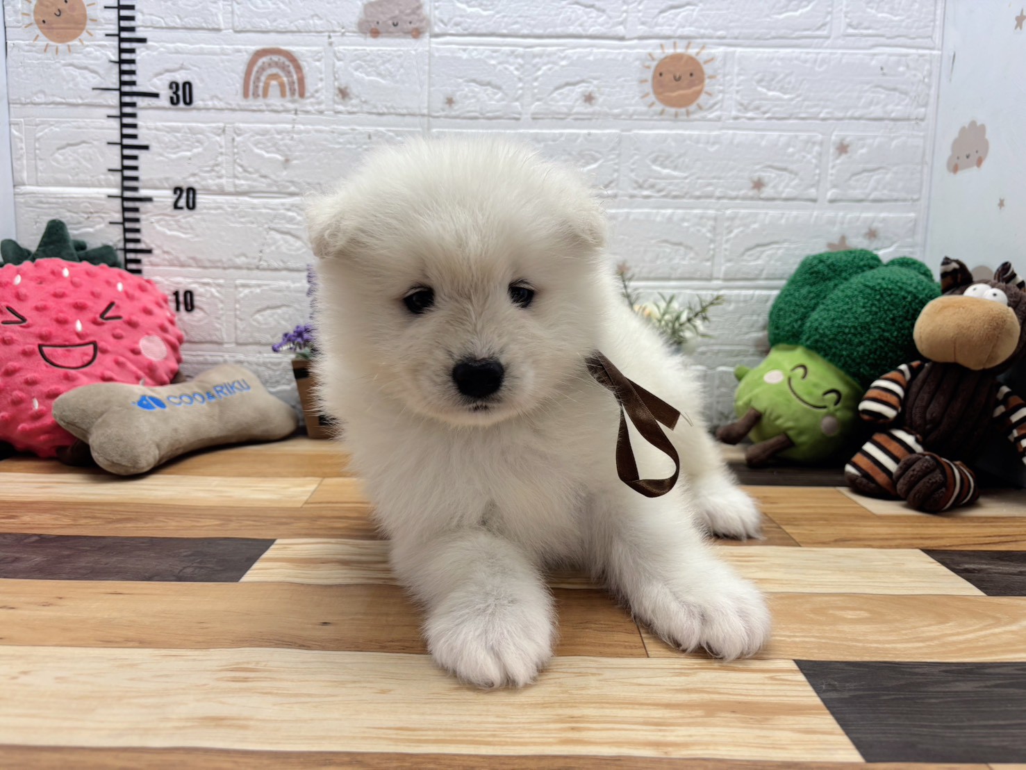 赤ちゃん写真3-1