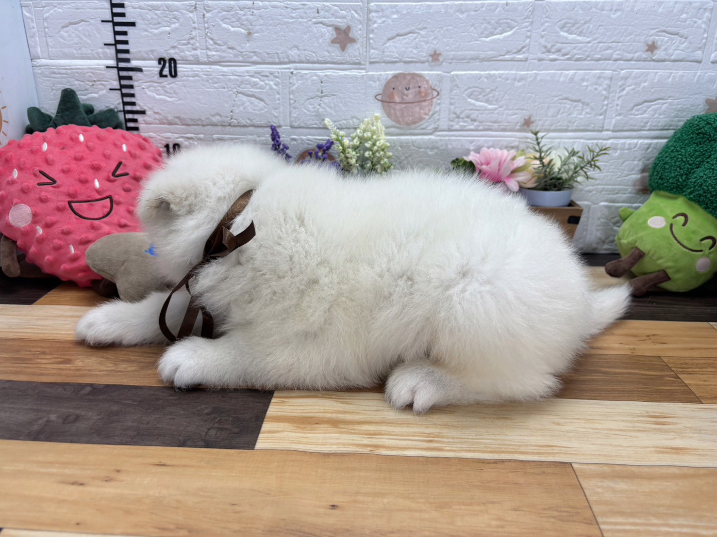 赤ちゃん写真3-2