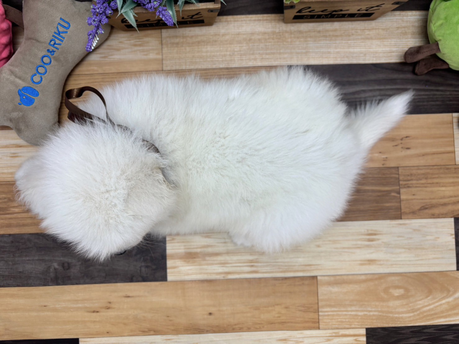 赤ちゃん写真3-3