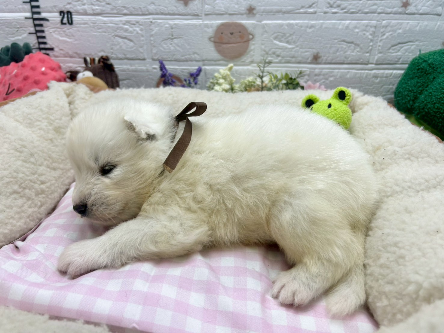 赤ちゃん写真2-2