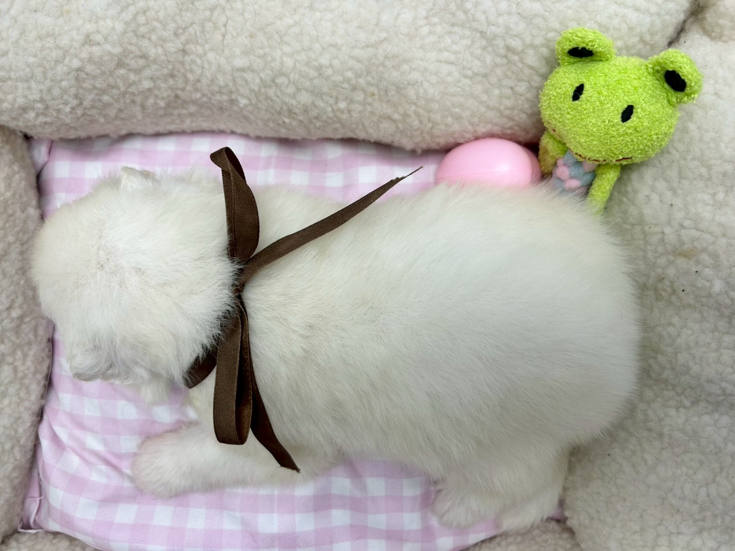 赤ちゃん写真2-3