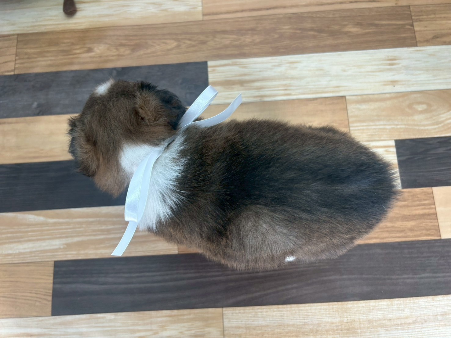 赤ちゃん写真3-3