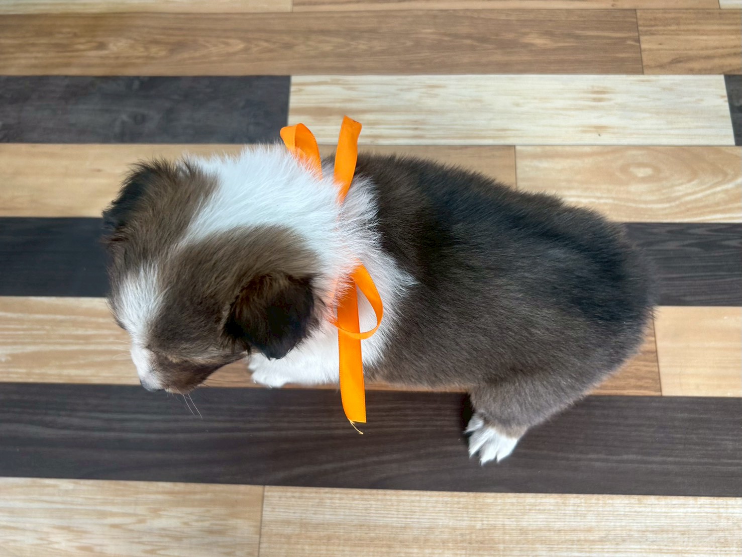 赤ちゃん写真3-3