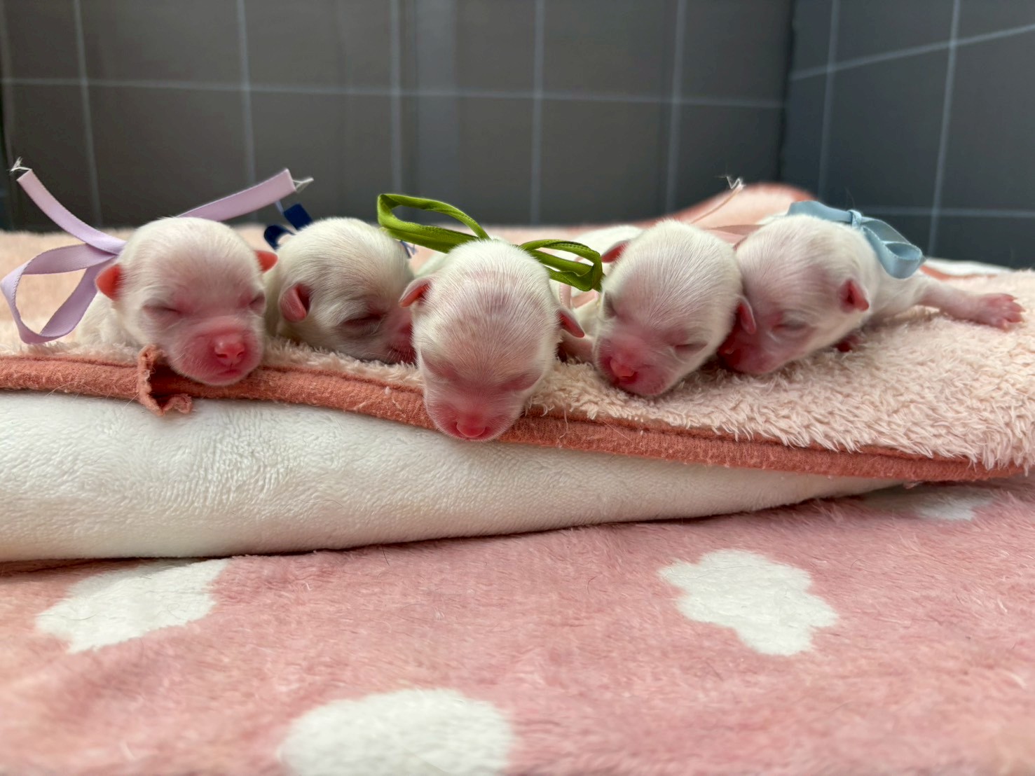 赤ちゃん写真1-3