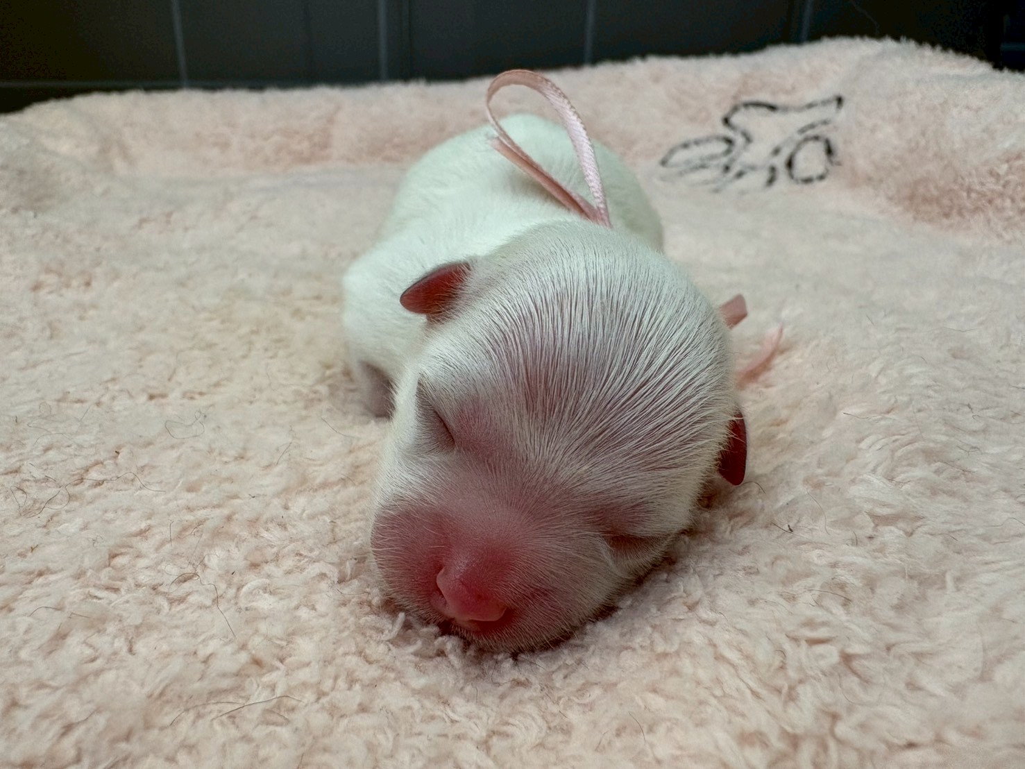 赤ちゃん写真1-1