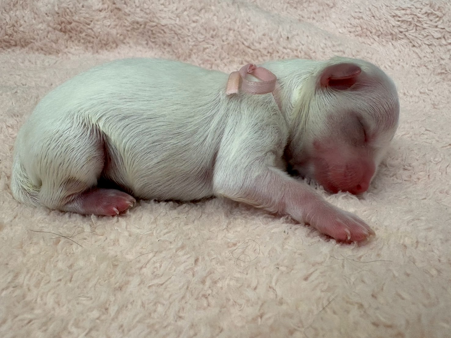 赤ちゃん写真1-2