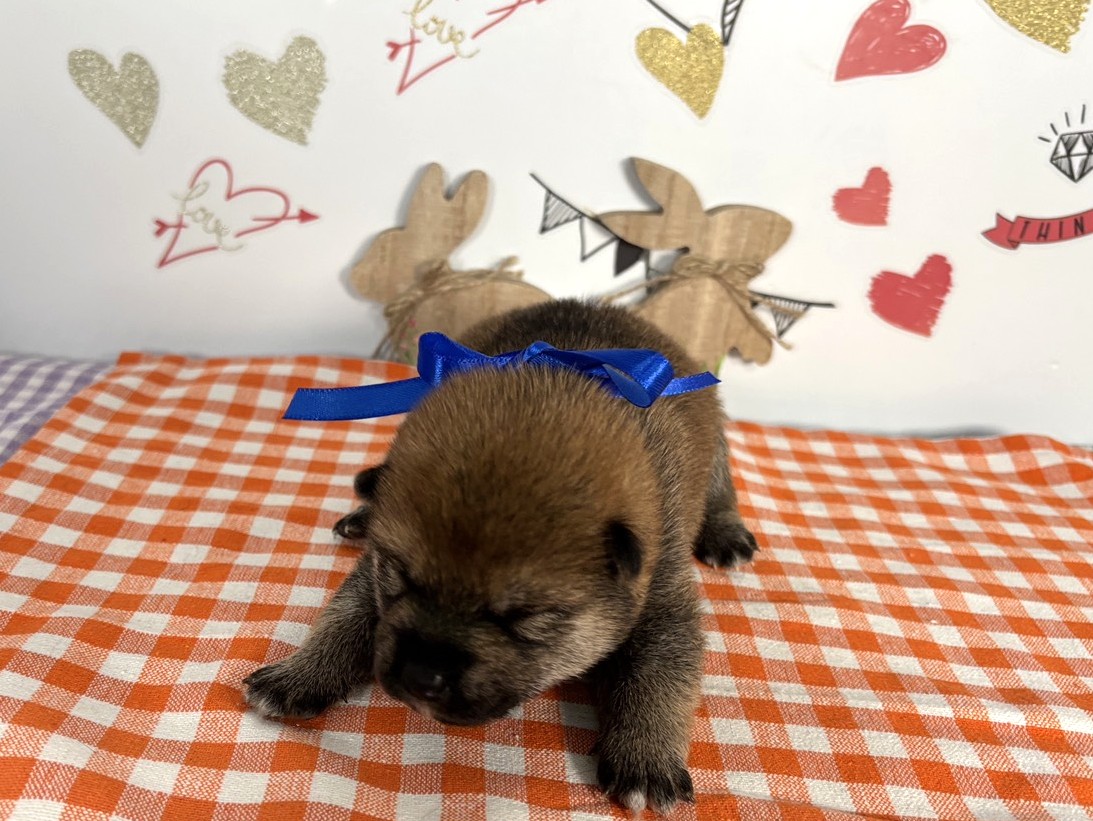赤ちゃん写真1-1