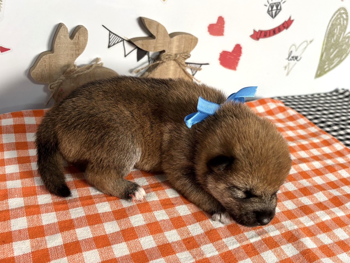 赤ちゃん写真1-2