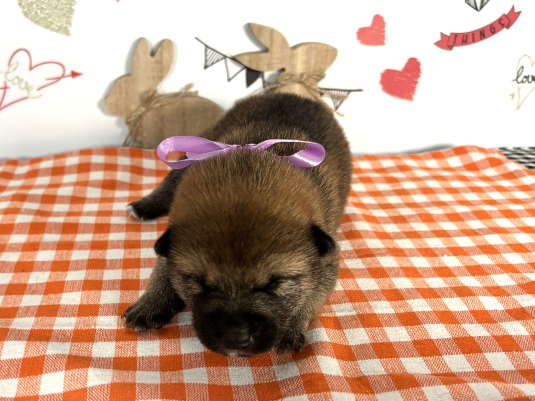 赤ちゃん写真1-1