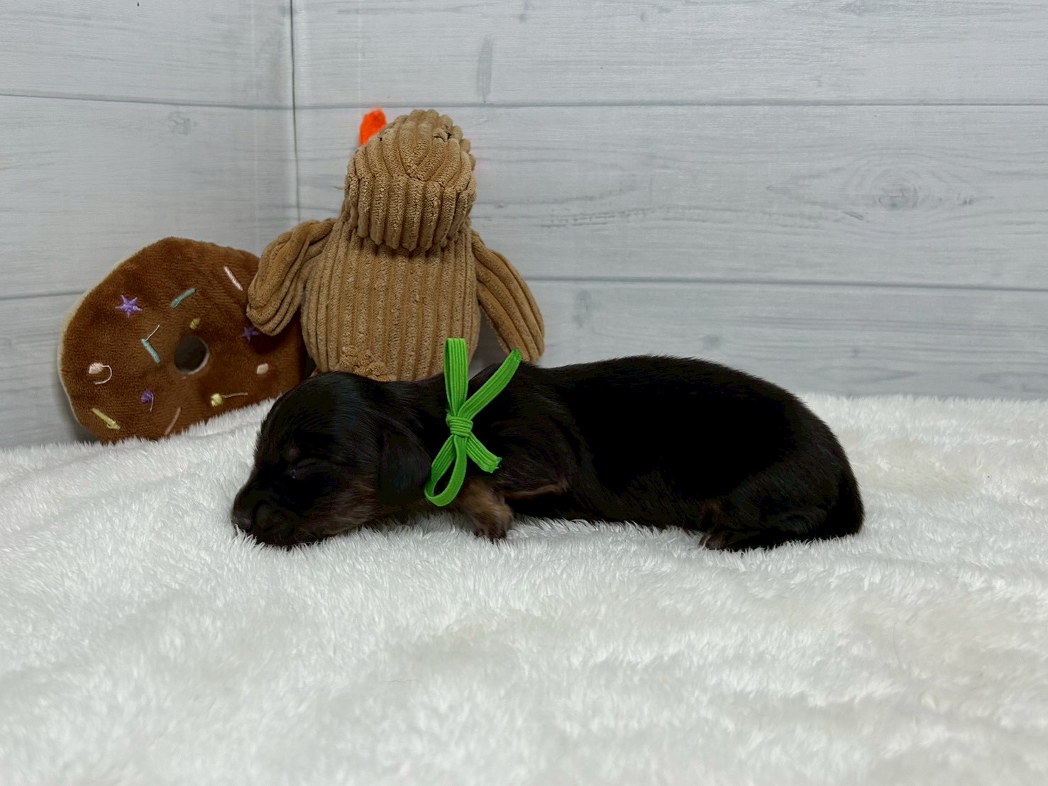 赤ちゃん写真1-2