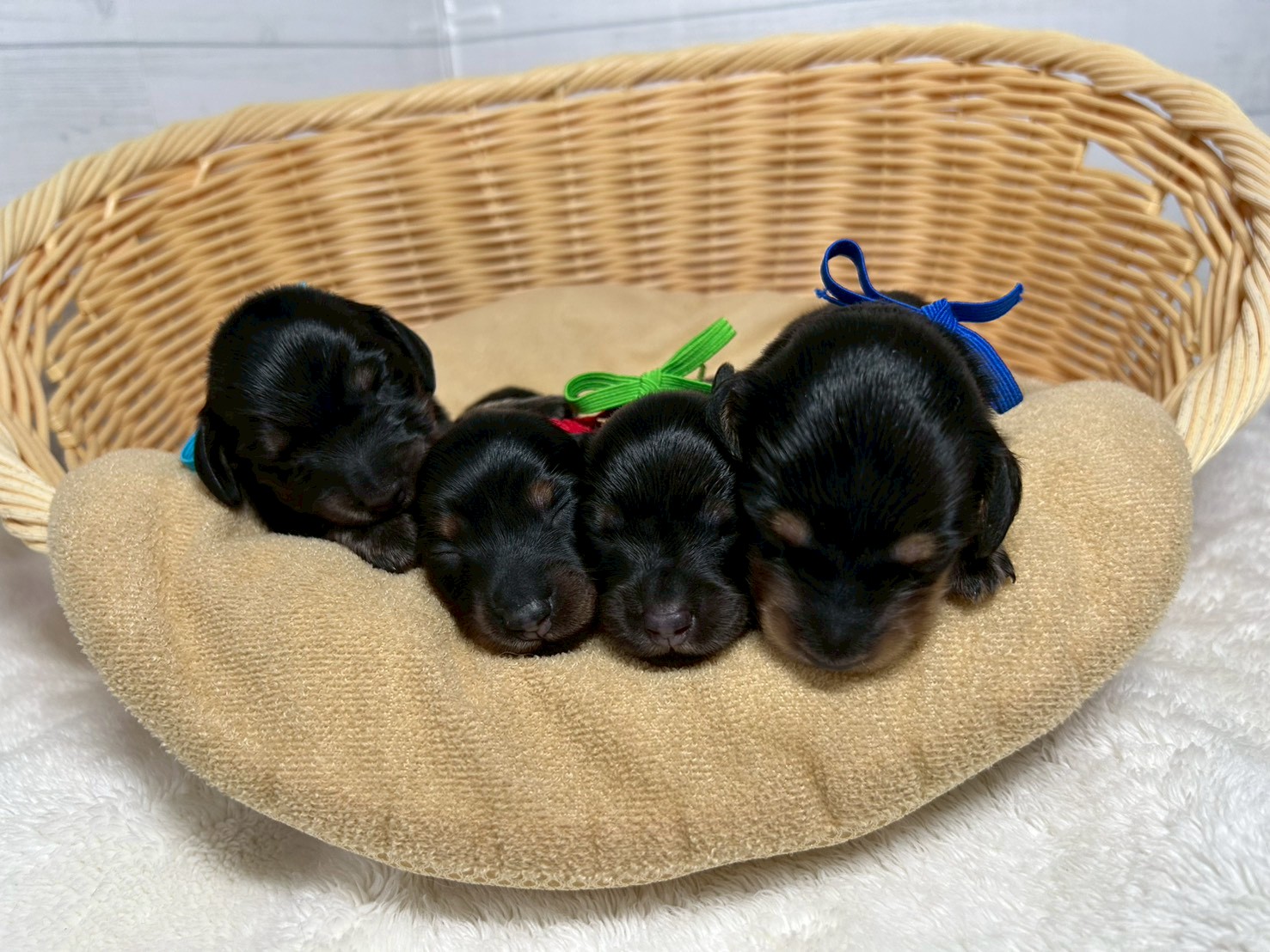 赤ちゃん写真1-3