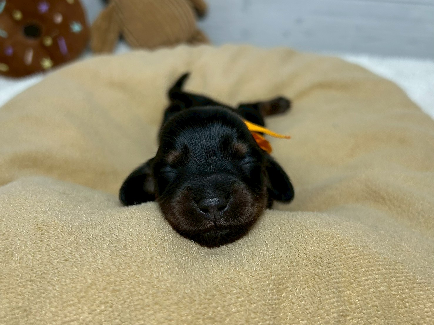 赤ちゃん写真1-1