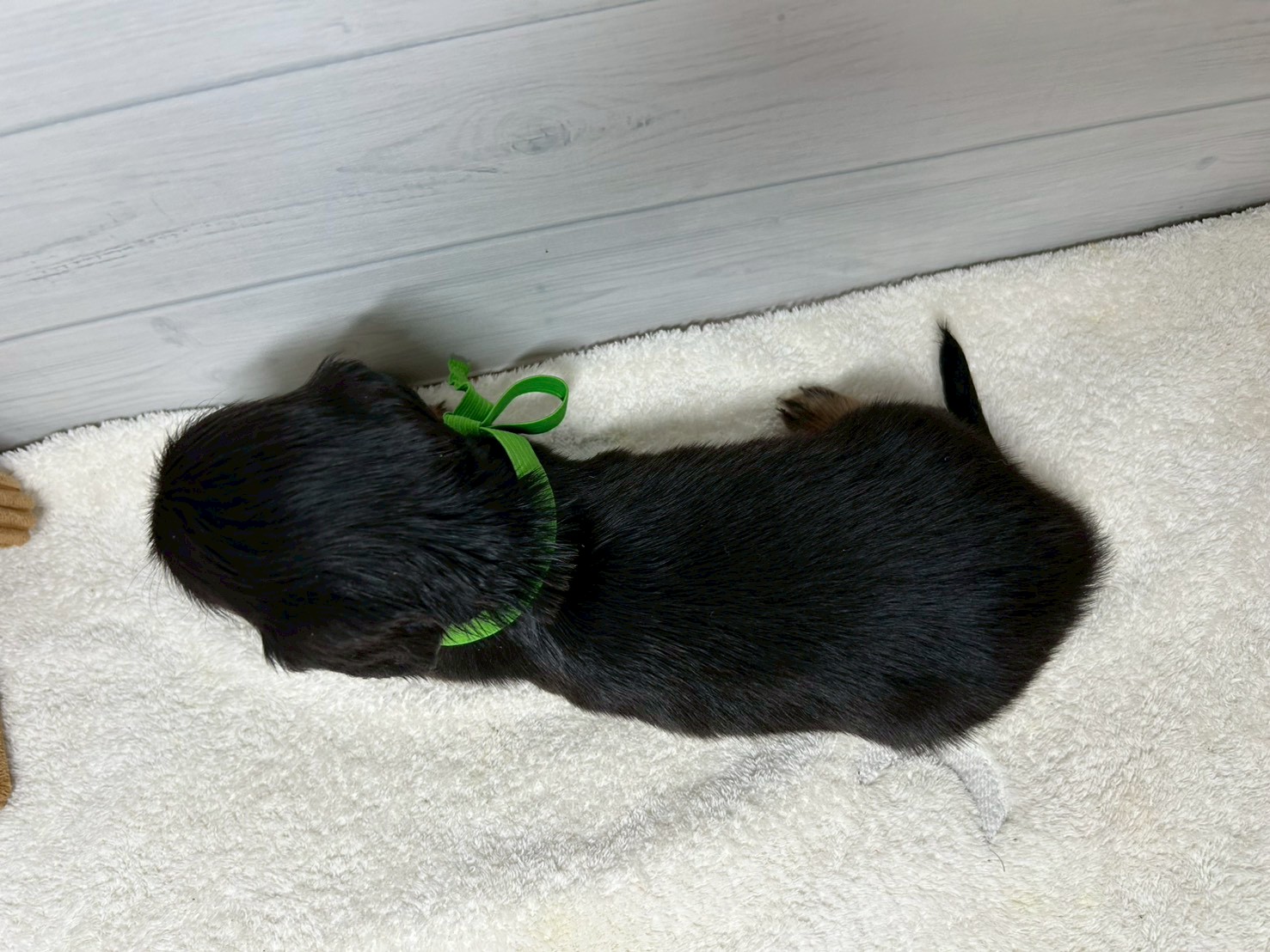 赤ちゃん写真2-3