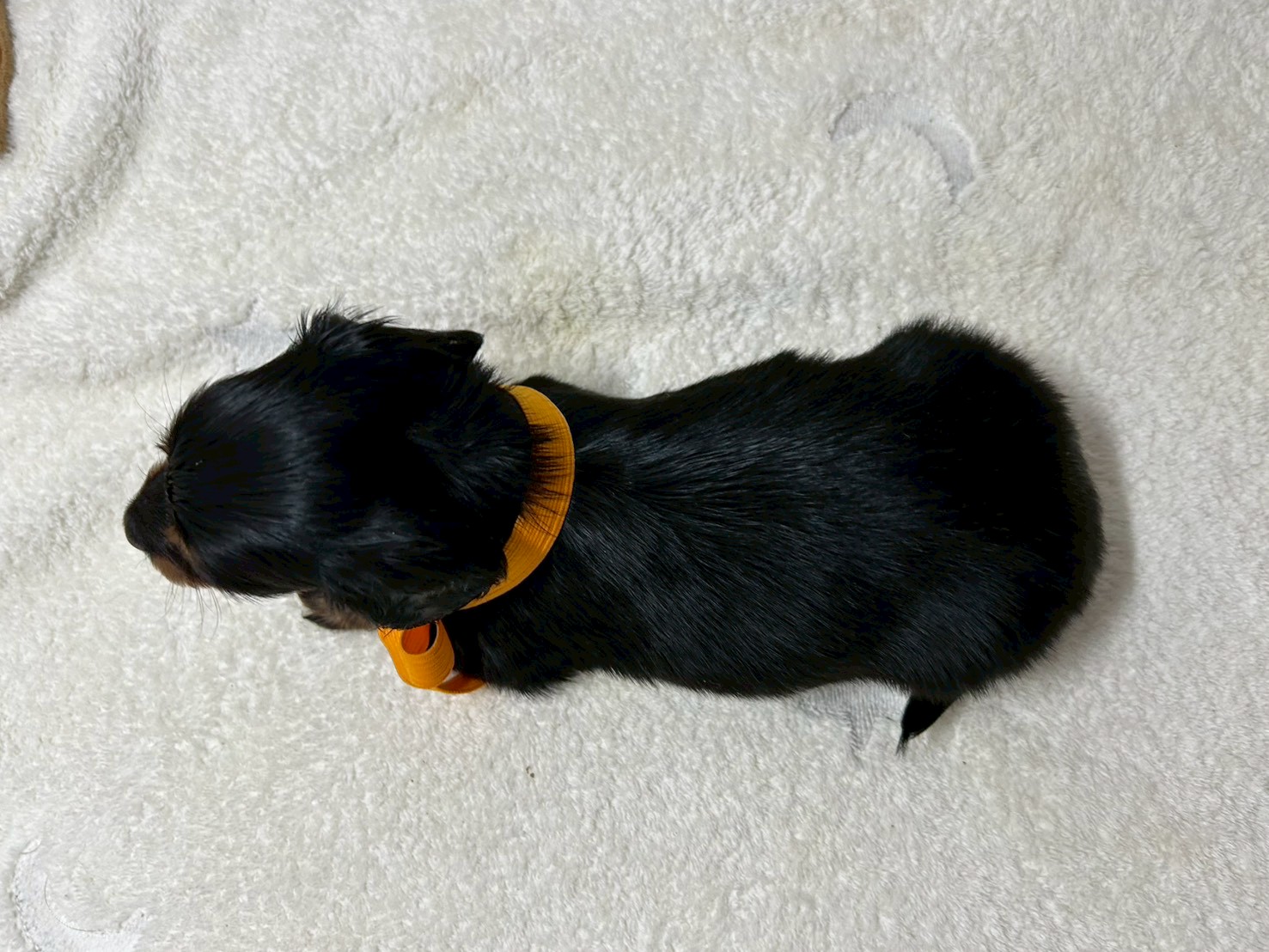 赤ちゃん写真2-3