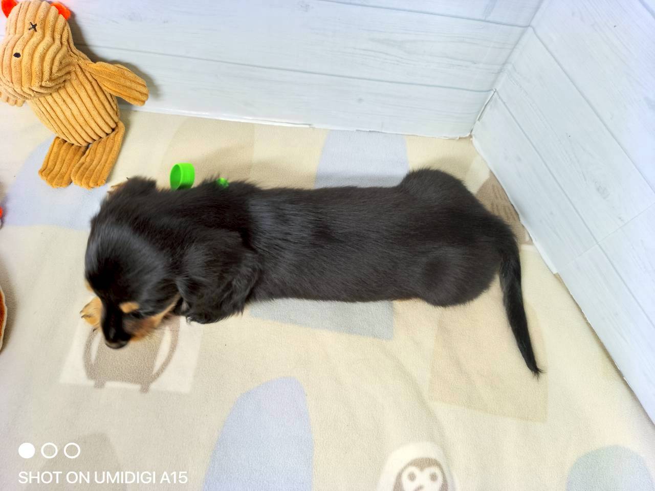 赤ちゃん写真3-3