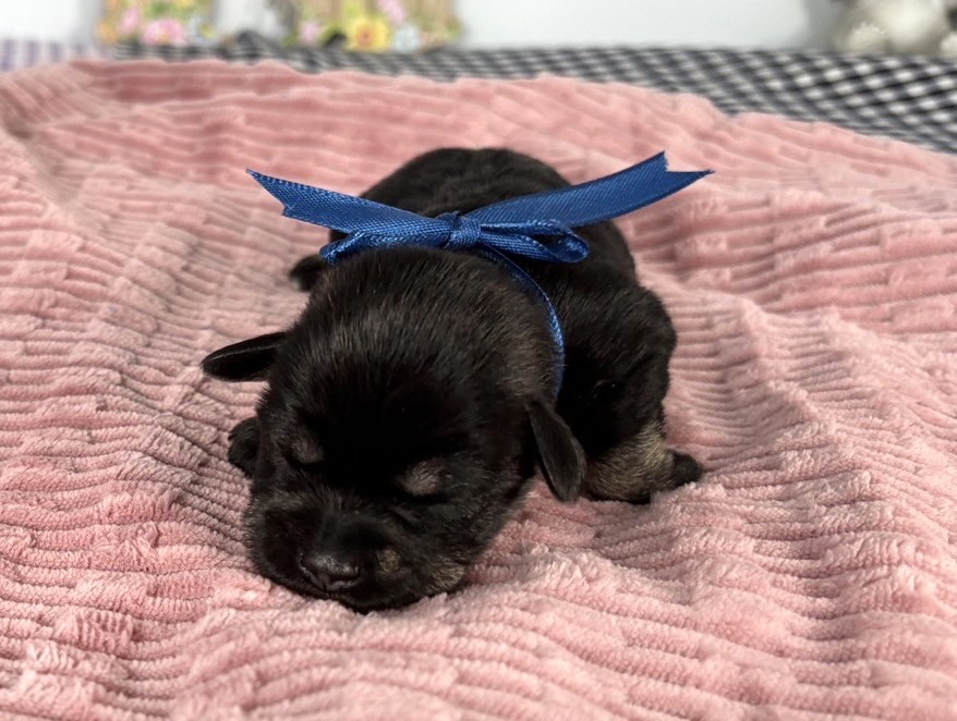 赤ちゃん写真1-1