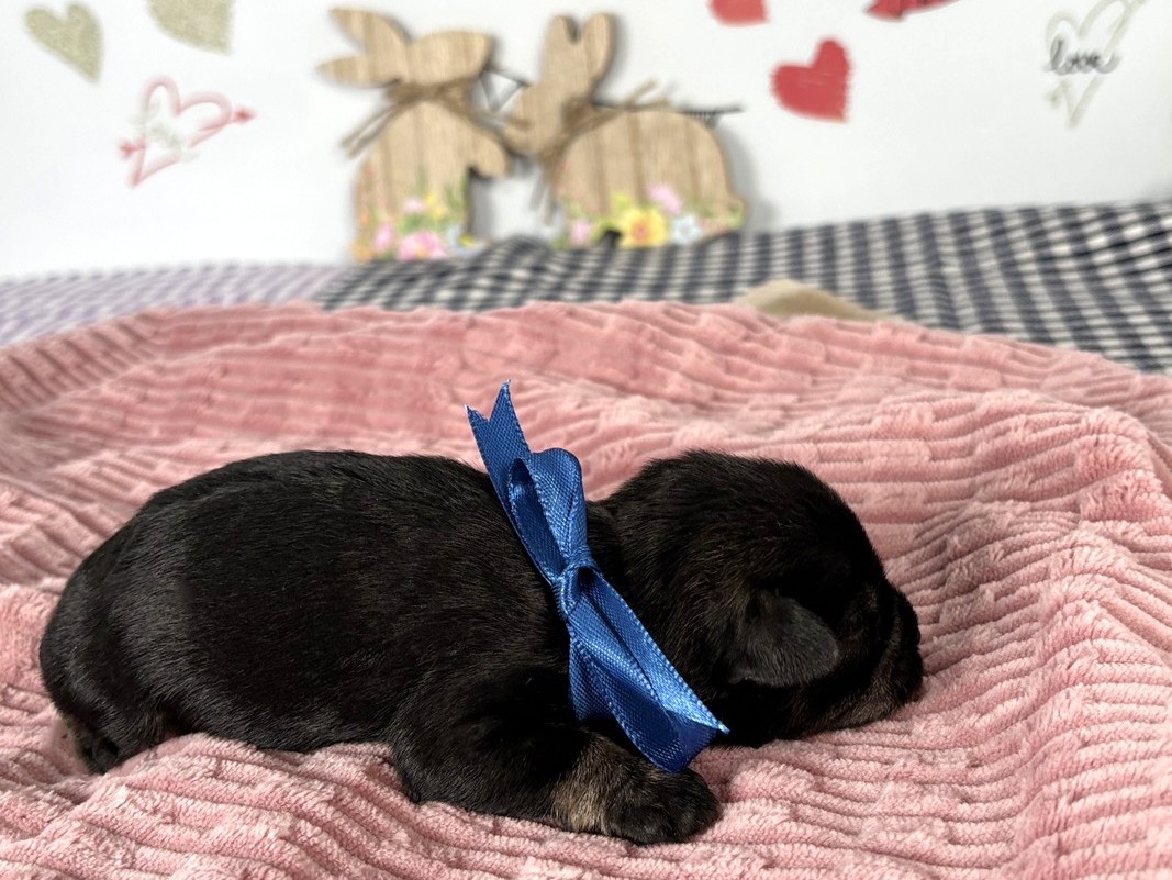 赤ちゃん写真1-2