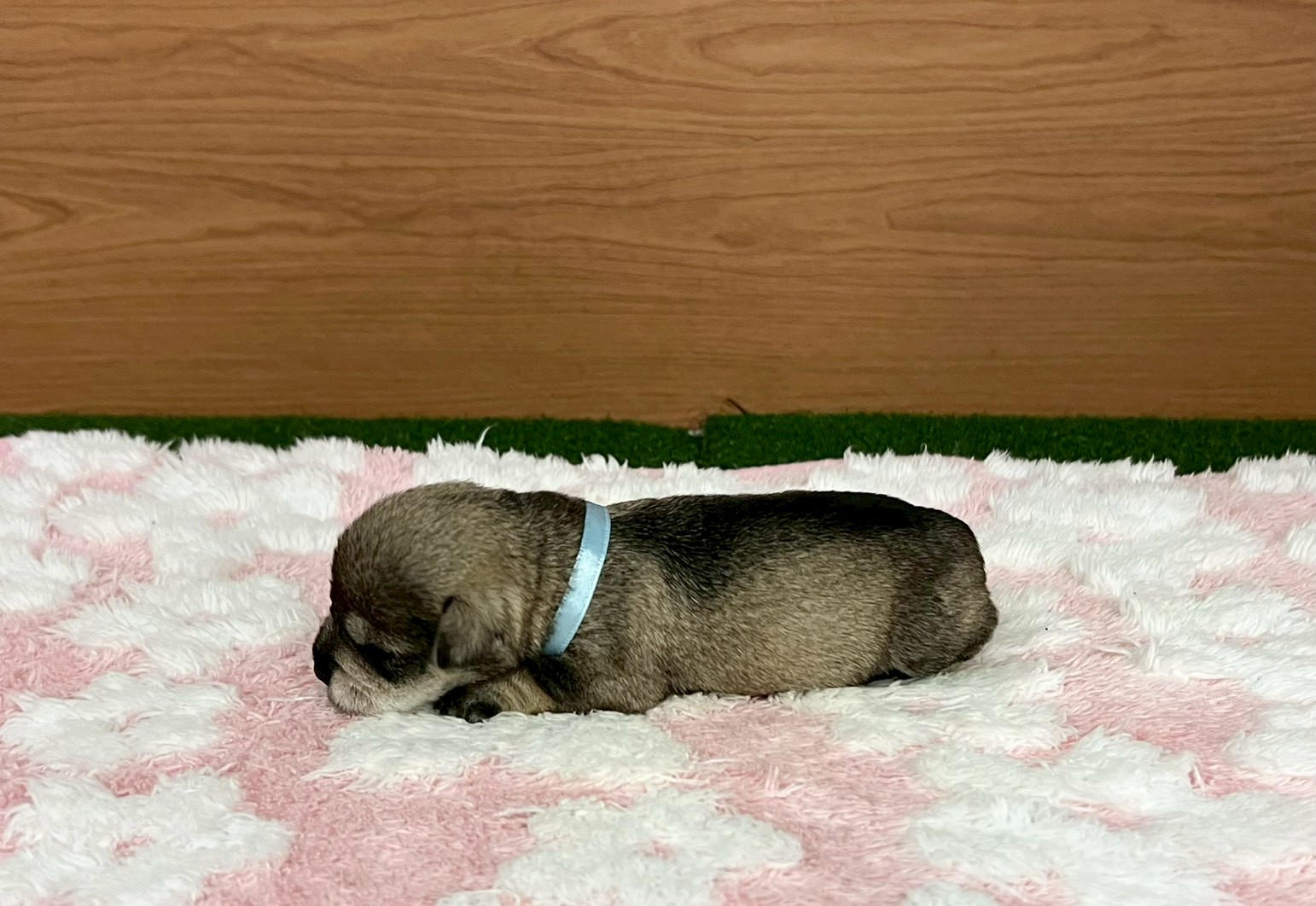 赤ちゃん写真1-2