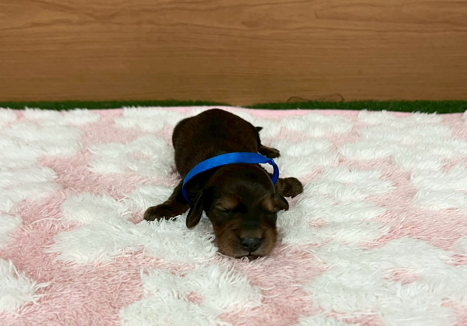 赤ちゃん写真1-1