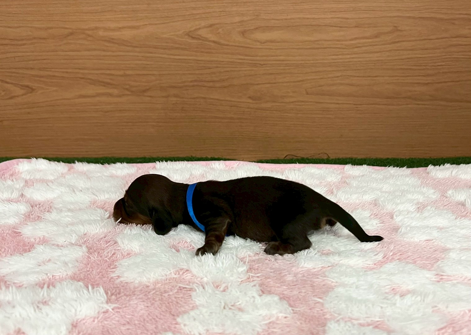 赤ちゃん写真1-2
