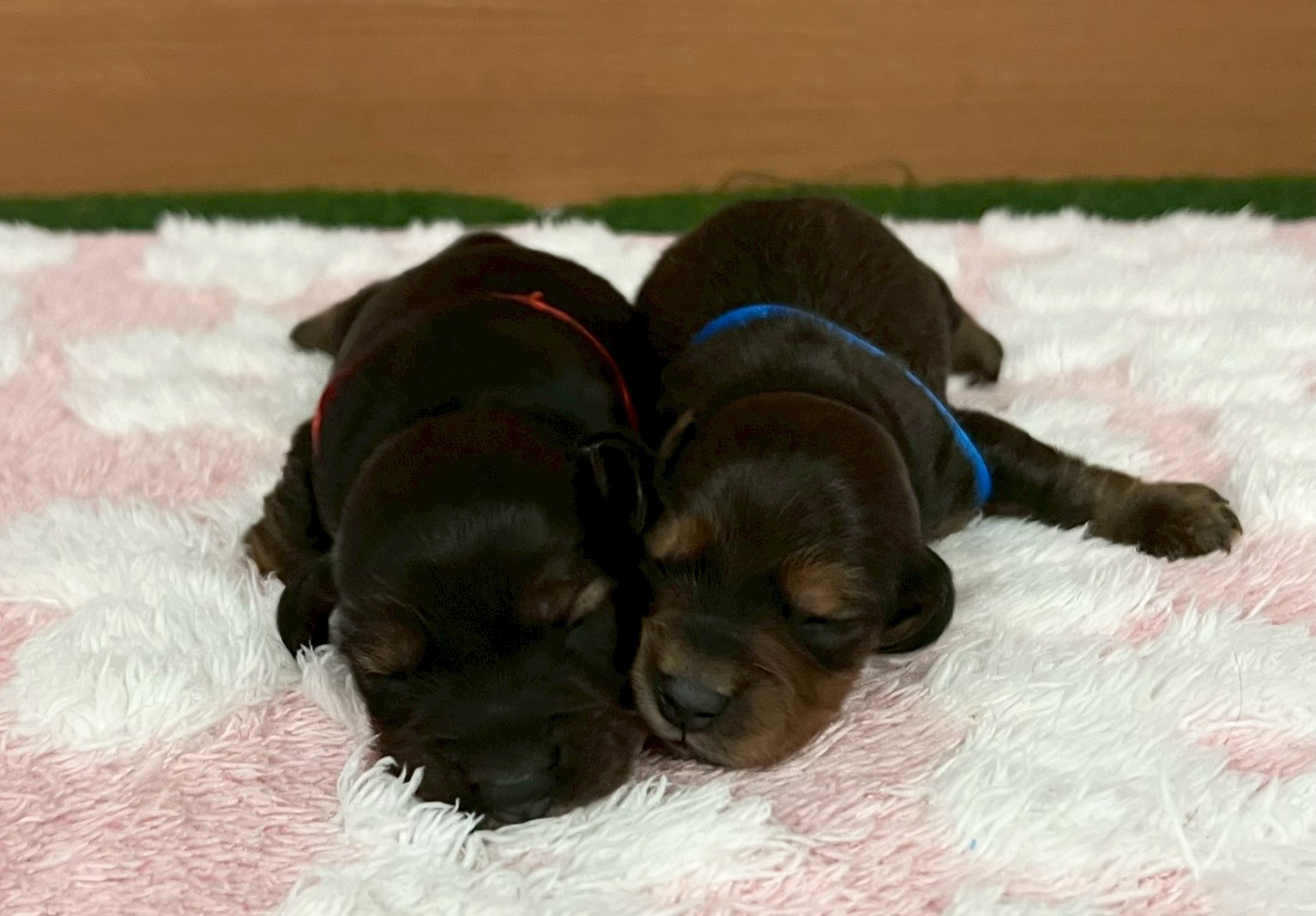 赤ちゃん写真1-3
