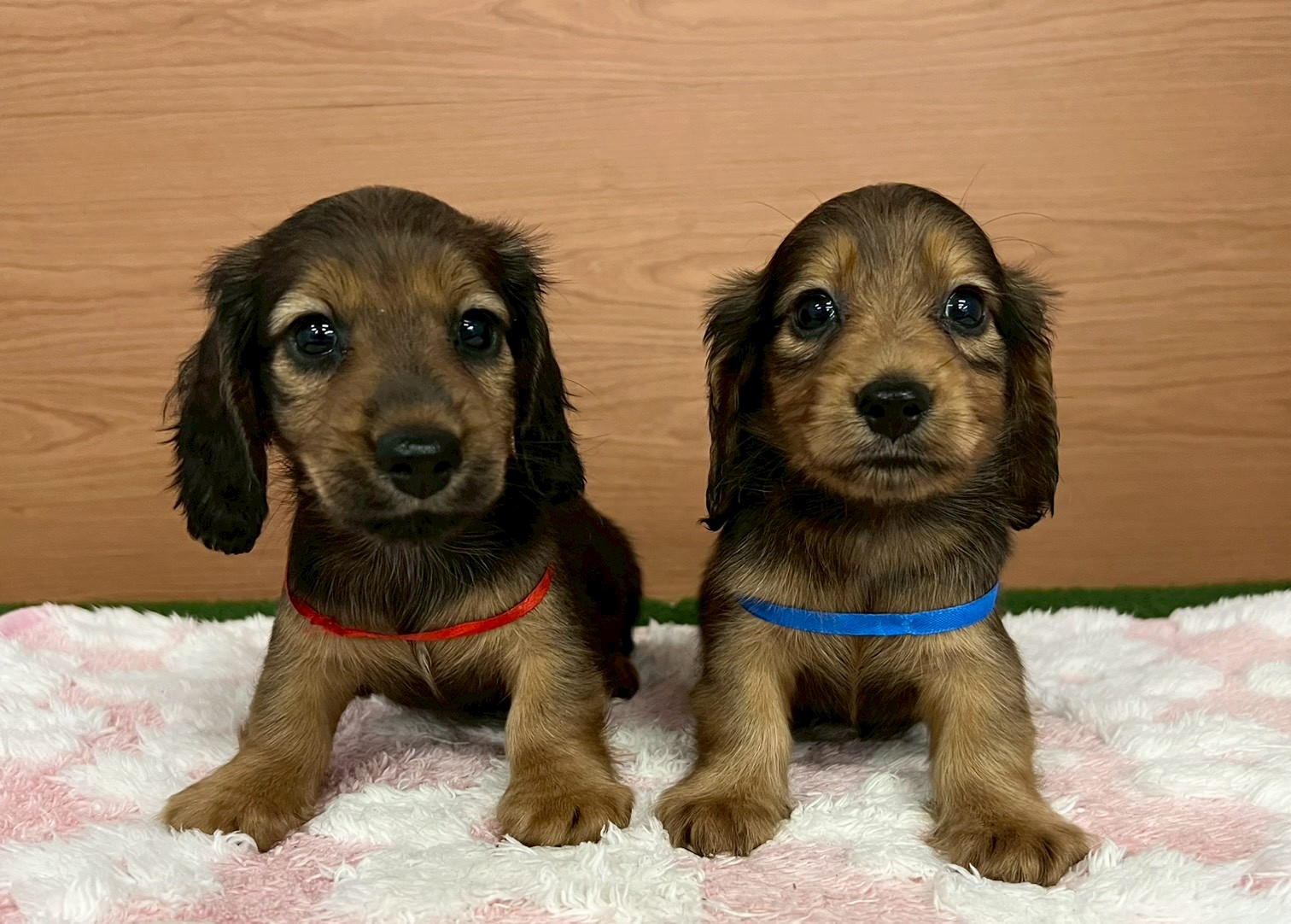 赤ちゃん写真3-3