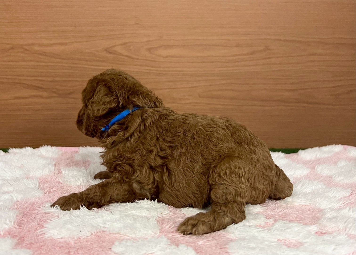 赤ちゃん写真2-2