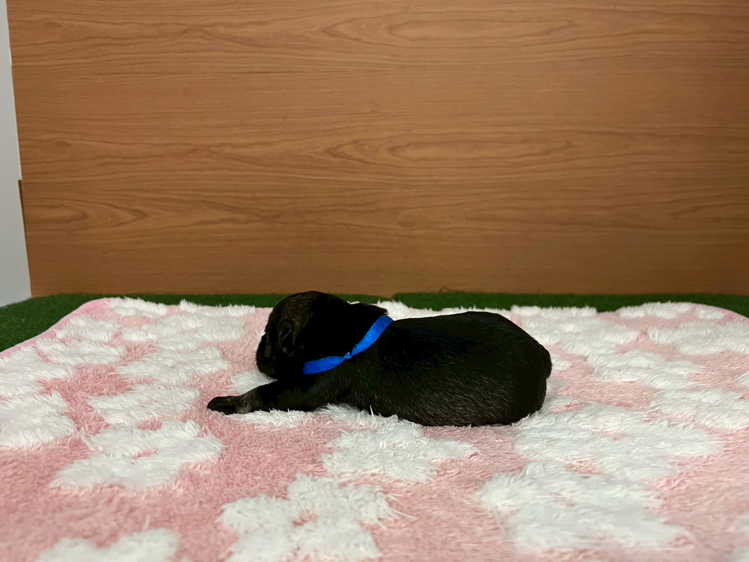 赤ちゃん写真1-2