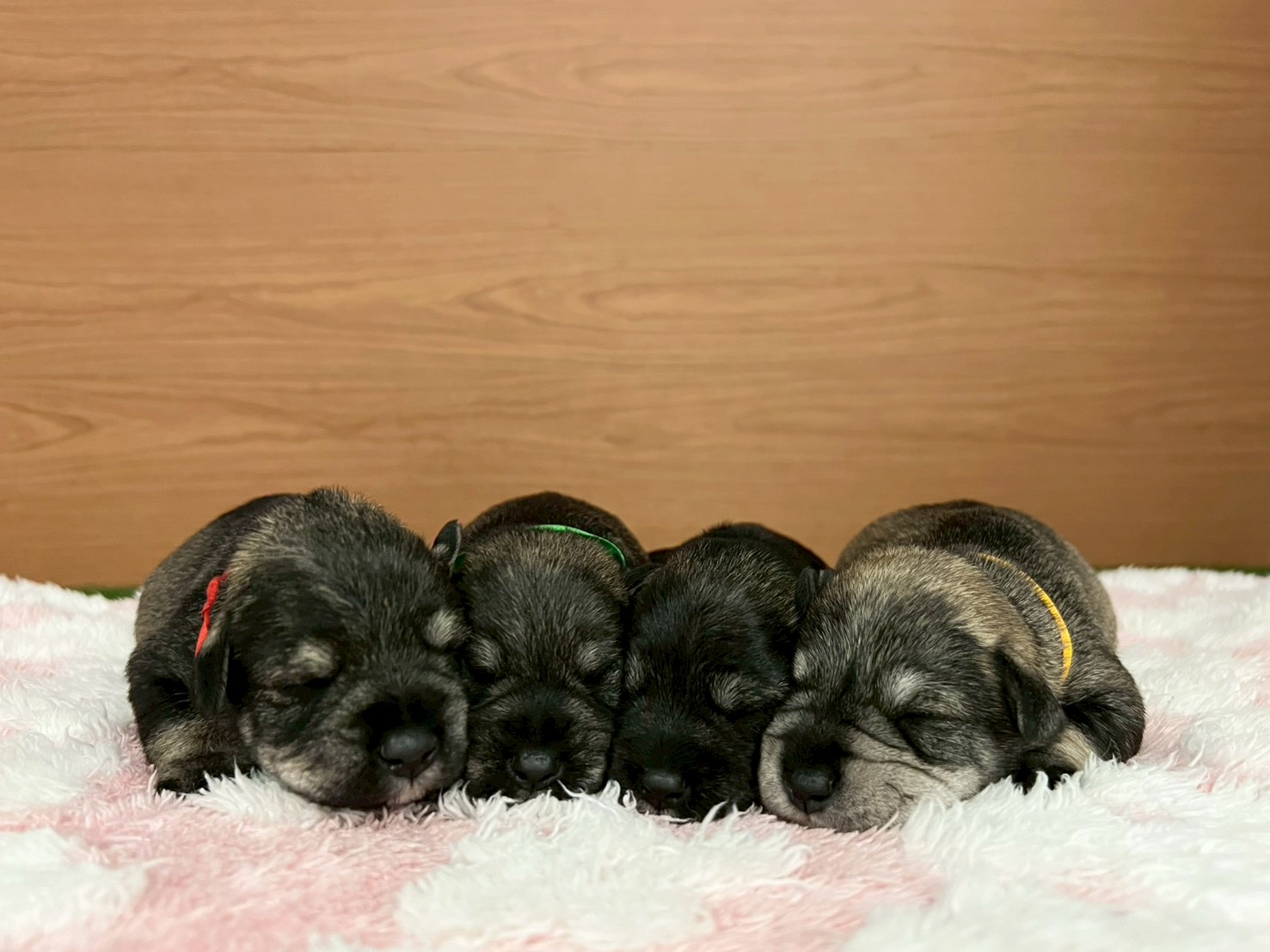 赤ちゃん写真1-3