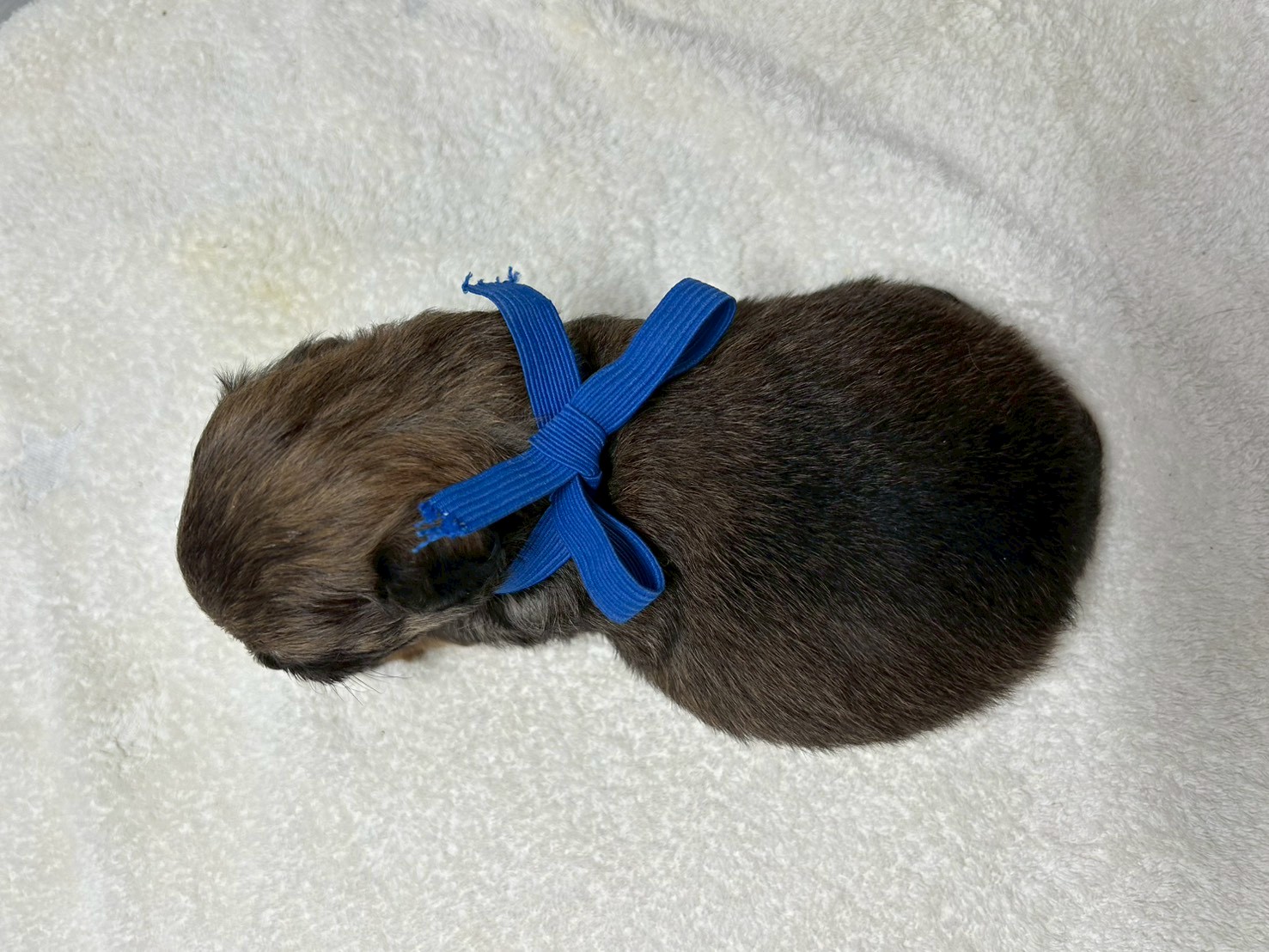 赤ちゃん写真2-3