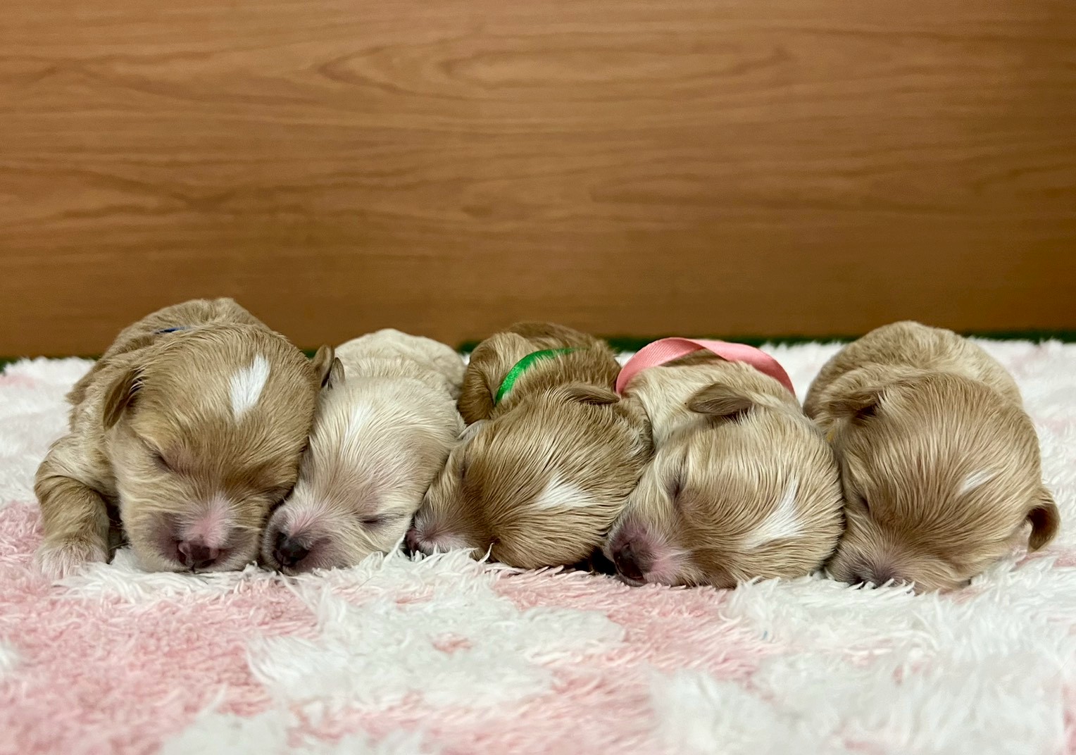 赤ちゃん写真1-3
