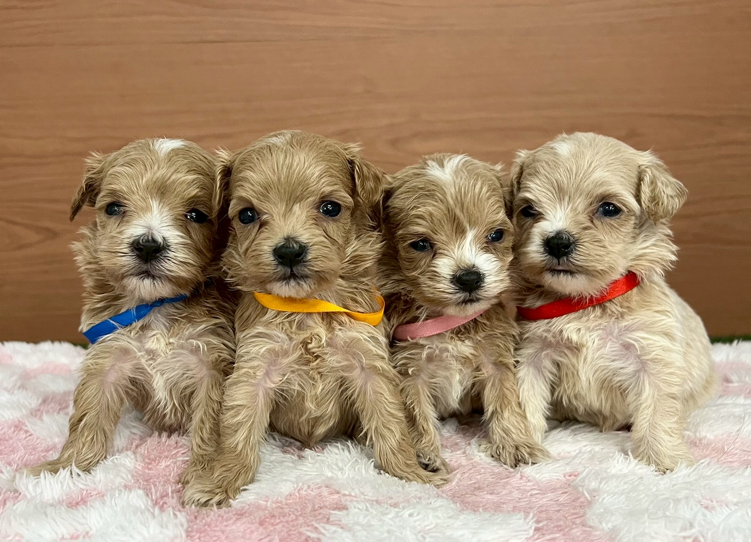 赤ちゃん写真2-3