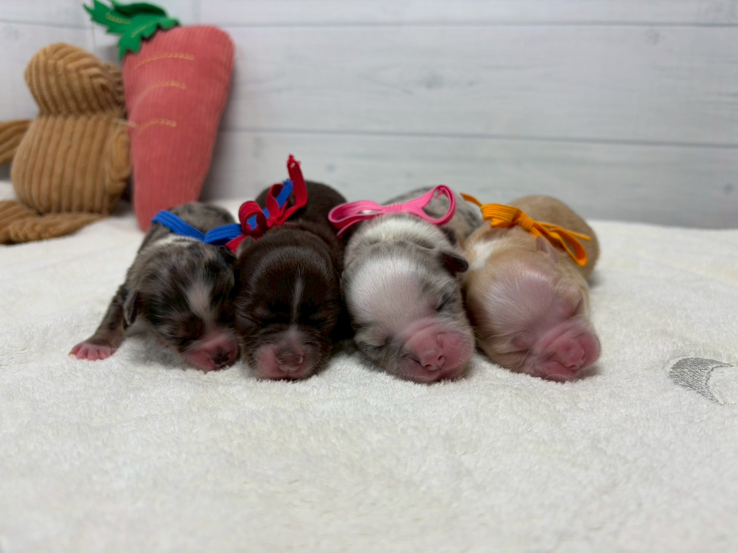 赤ちゃん写真1-3