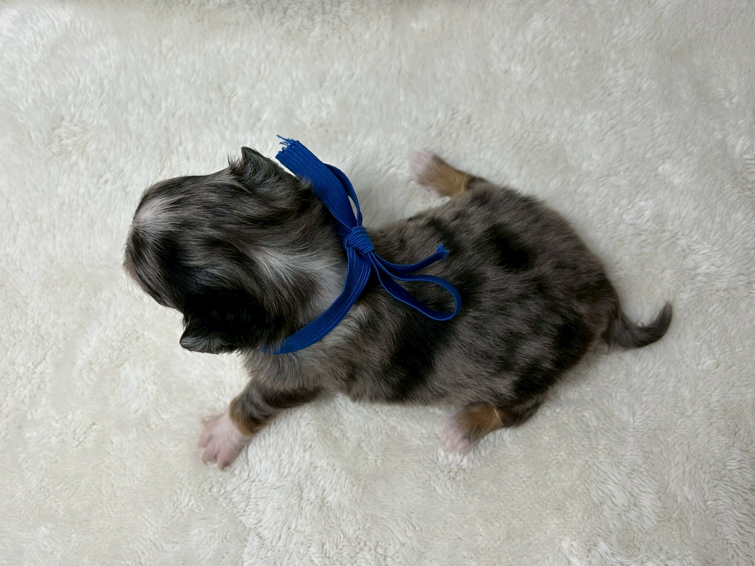 赤ちゃん写真2-3