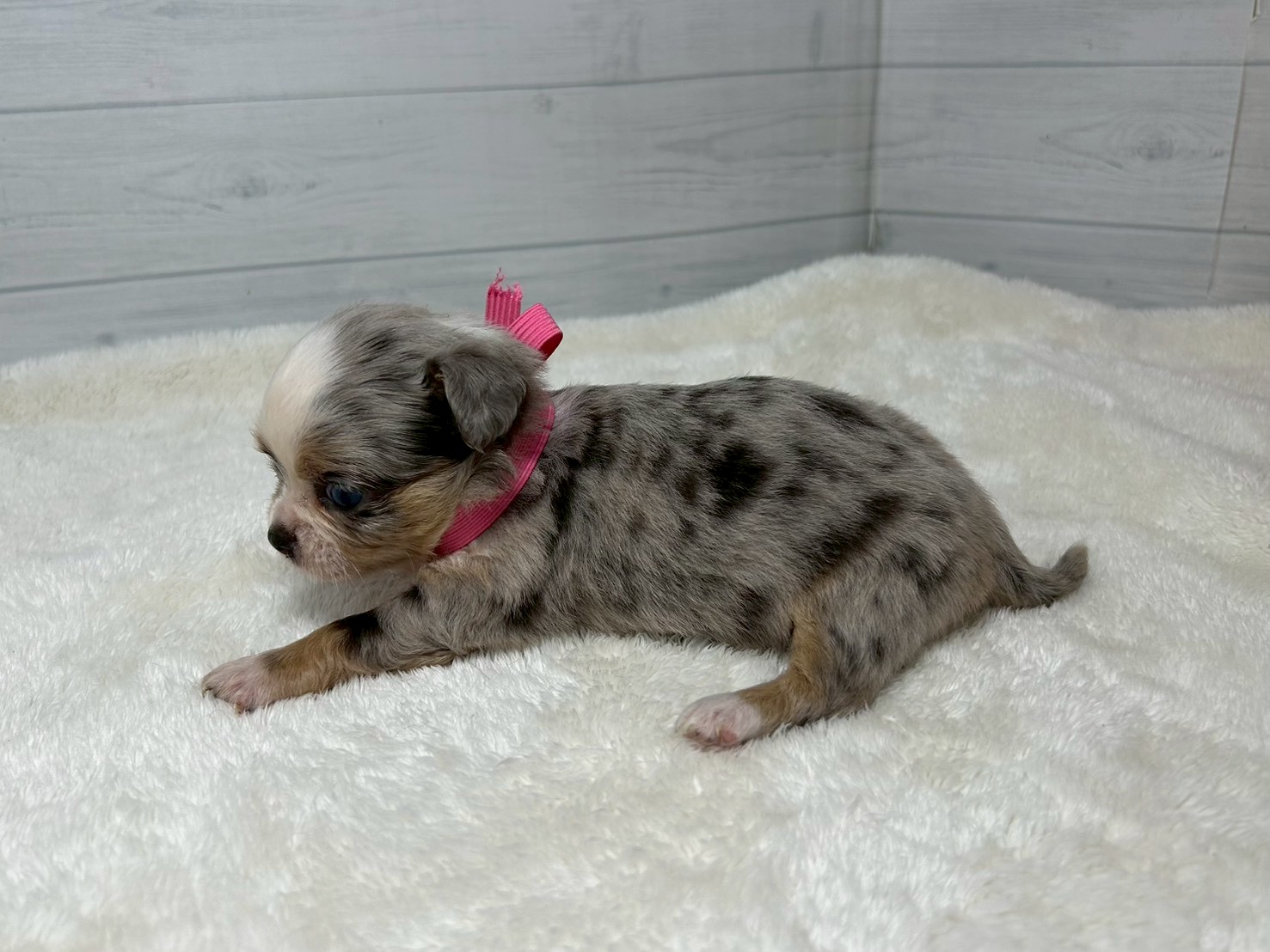赤ちゃん写真2-2