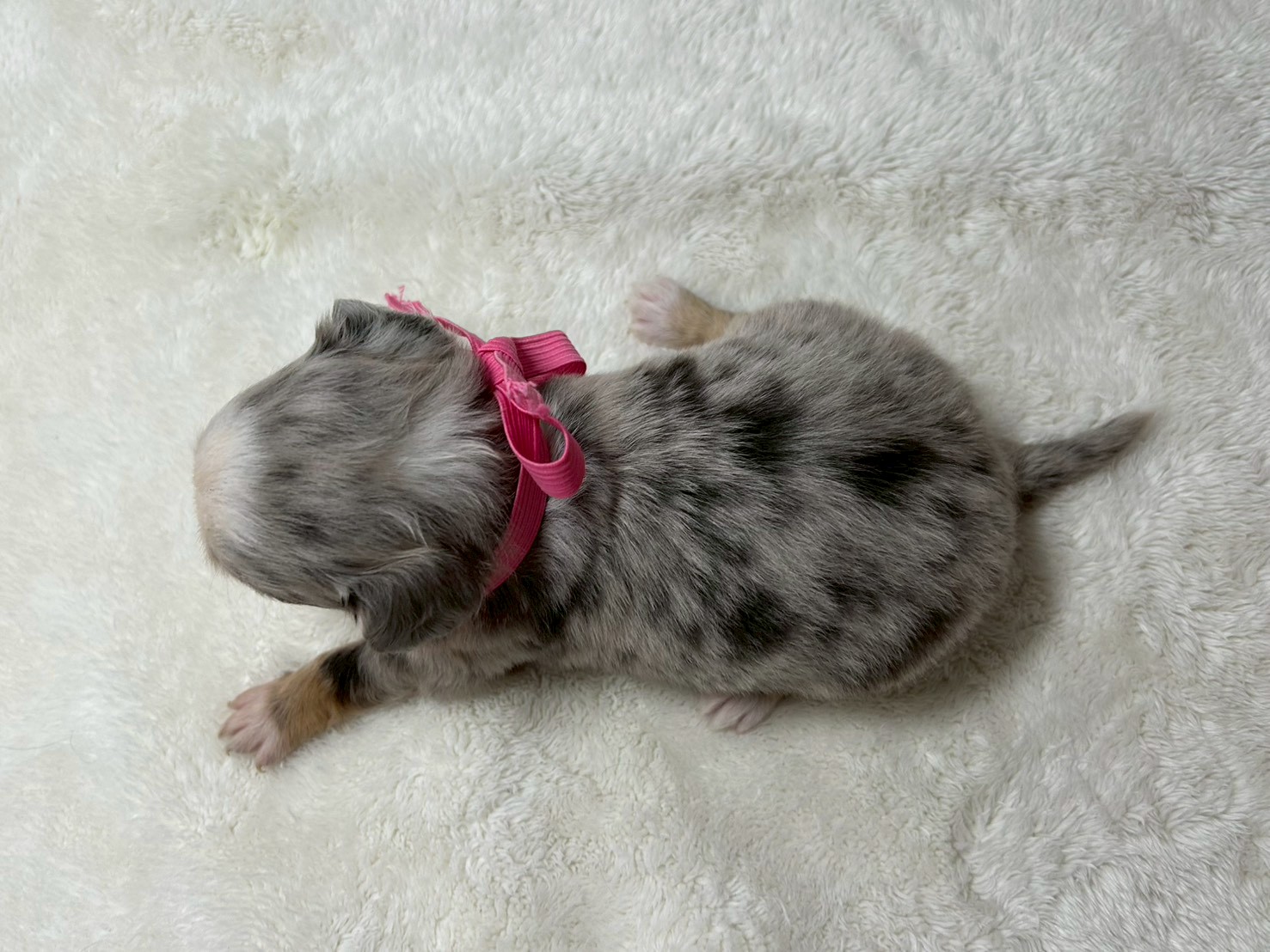 赤ちゃん写真2-3