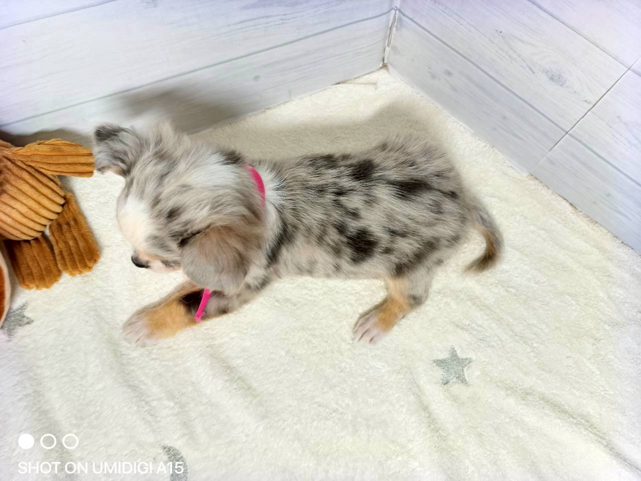 赤ちゃん写真3-3