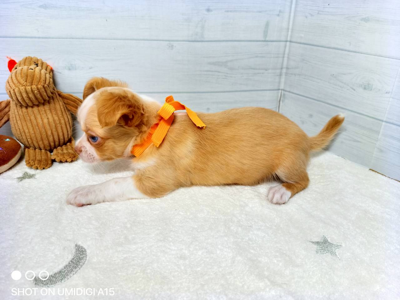 赤ちゃん写真3-2